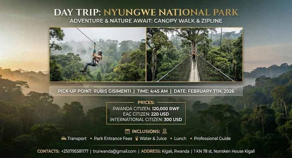 Nyungwe National Park – Canopy Walk & Zipline Adventure.