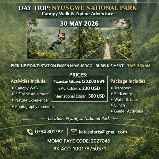 Safari surge Nyungwe in a day